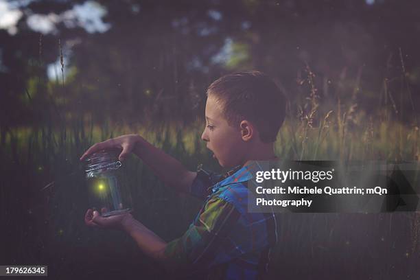 catching fireflies - catching fireflies stock pictures, royalty-free photos & images