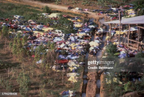 Aerial view of dead bodies at the Peoples Temple compound in Jonestown, Guyana, November 23rd 1978. Under the direction of their leader Jim Jones,...