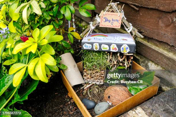bug insect house made from recyclable materials - hibernation stock pictures, royalty-free photos & images