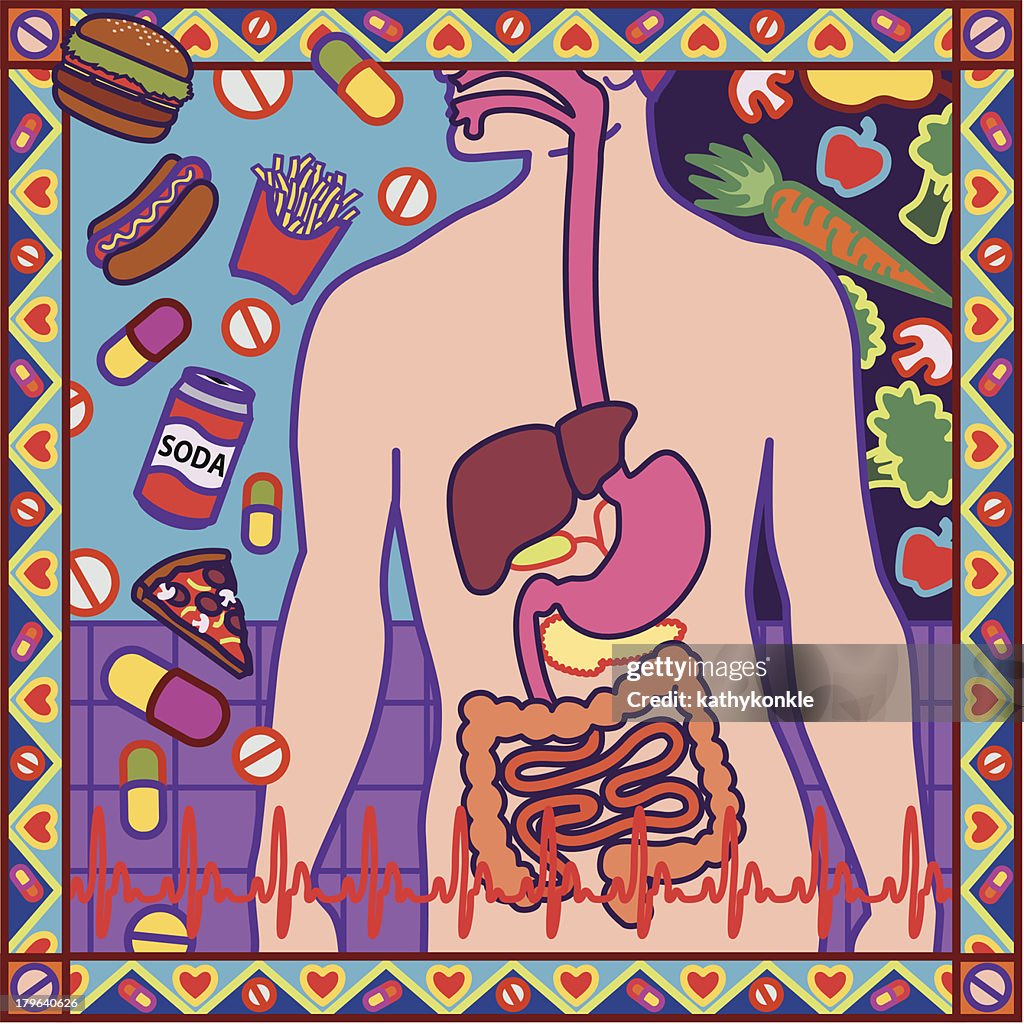 Digestive system design