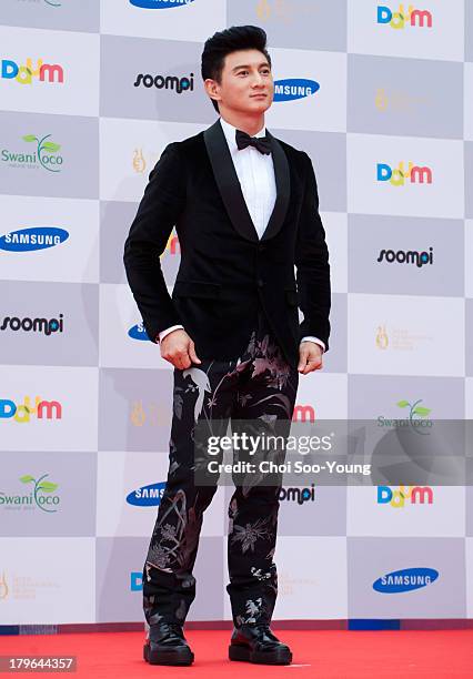 Nicky Wu arrives at the red carpet of the Seoul International Drama Awards 2013 at the National Theater of Korea Main Hall 'Hae' on September 5, 2013...