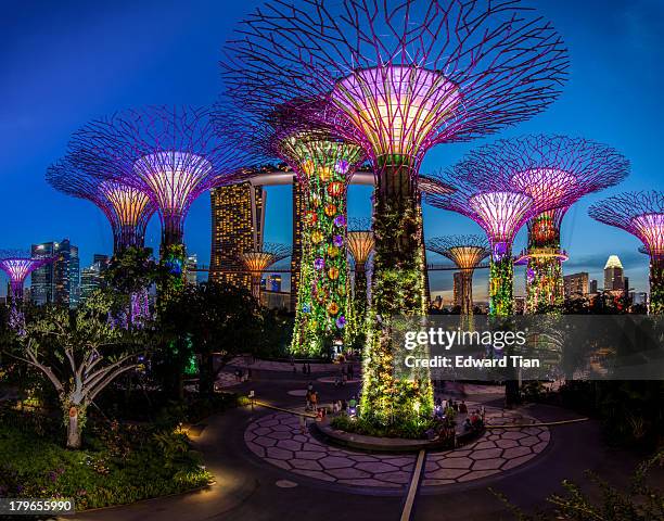 Supertrees are tree-like structures that dominate the Gardens' landscape with heights that range between 25 metres and 50 metres .There is an...