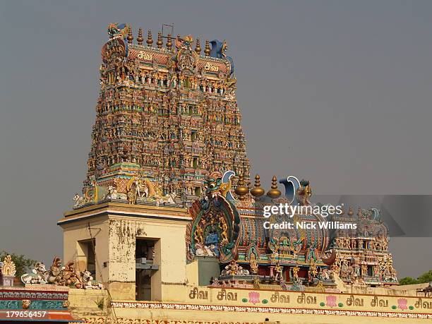 sri meenakshi temple, madurai - sri meenakshi hindu temple stock pictures, royalty-free photos & images