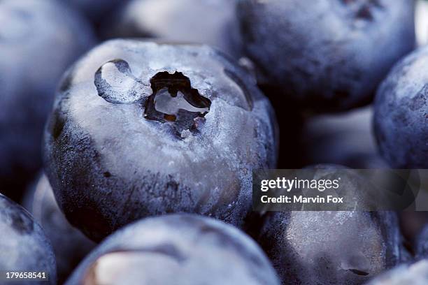 macro blueberries - blueberries fruit stock pictures, royalty-free photos & images