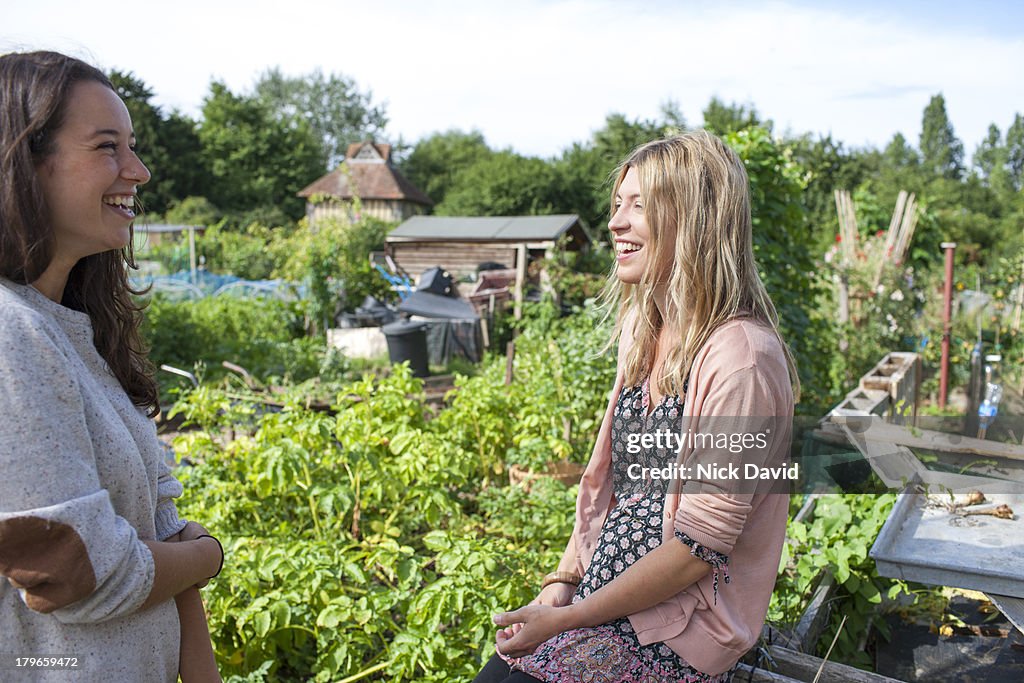 Working on an allotment