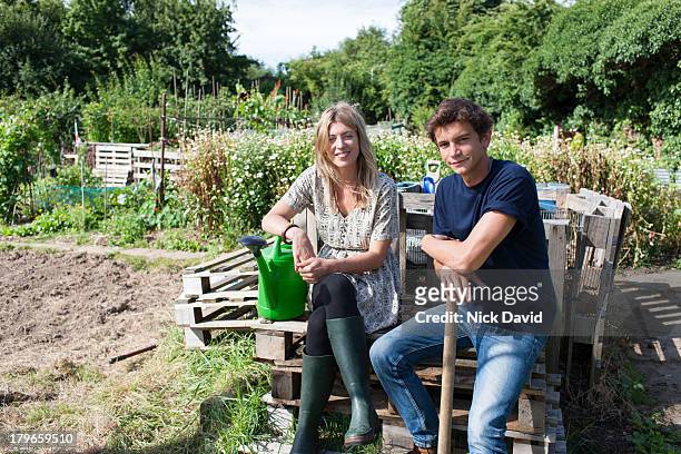 working on an allotment - palette stock pictures, royalty-free photos & images