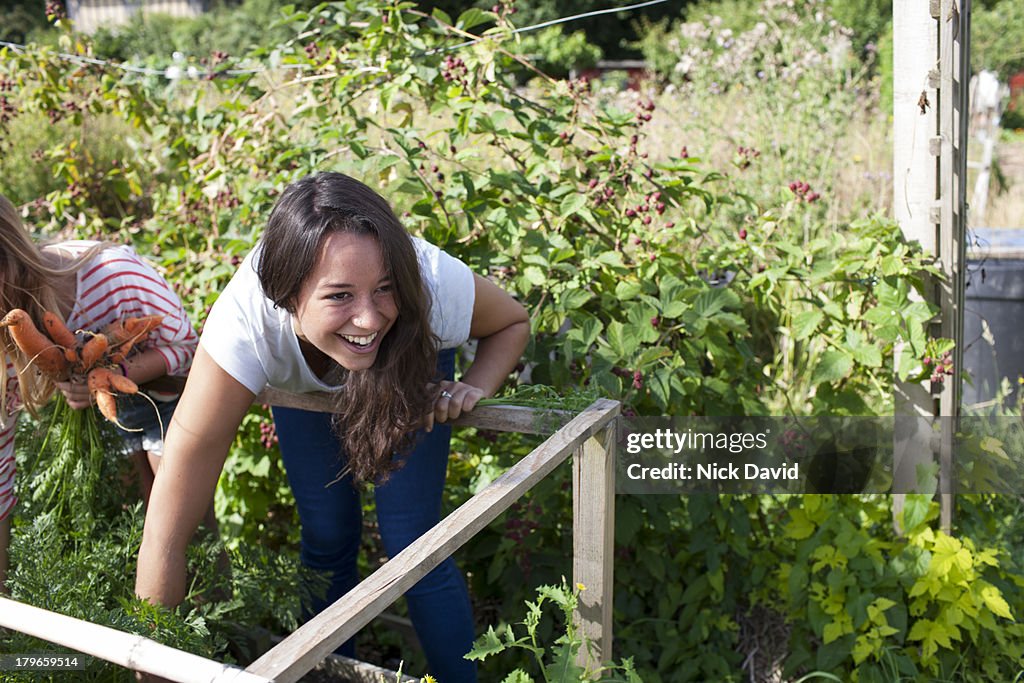 Working on an allotment