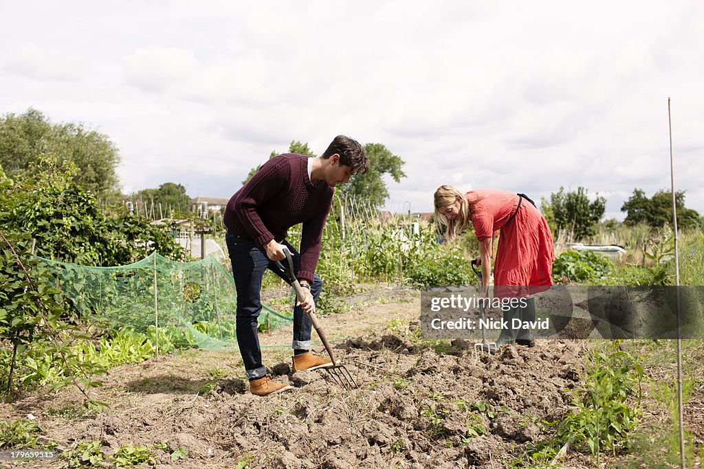 Working on an allotment