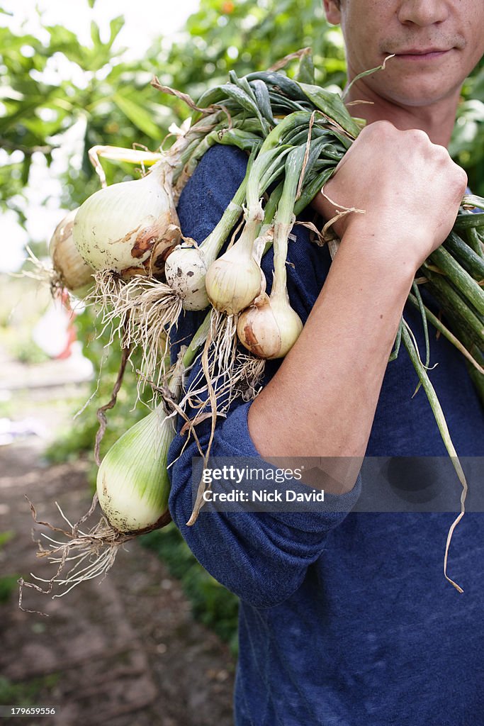 Working on an allotment