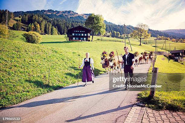 switzerland: leading the cows to annual county fair - swiss cow stock pictures, royalty-free photos & images