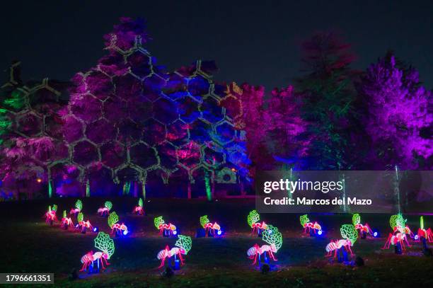 View of the light installation "Naturaleza Encendida" in the Enrique Tierno Galvan Park showing ants carrying leaves. Every year, "Naturaleza...