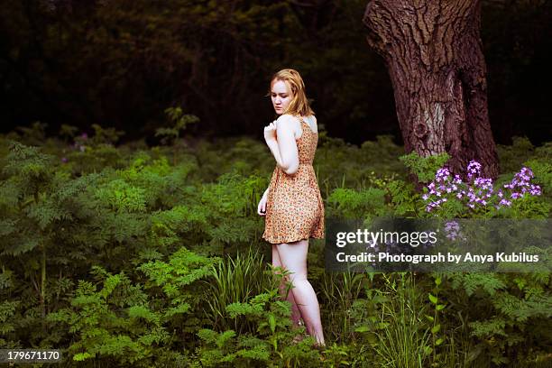 nature portrait - freeport illinois stockfoto's en -beelden