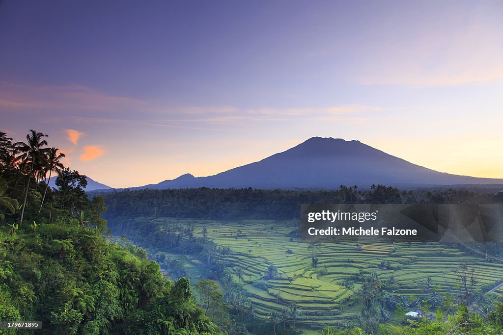 Indonesia, Bali, Rice Fields and Volcanoes