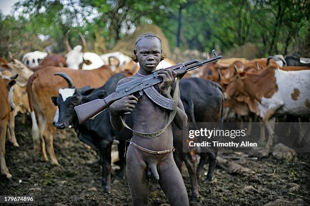 suri tribal boy with gun protects cattle - omo valley stock pictures, royalty-free photos & images