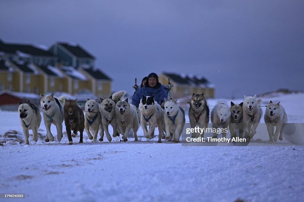 Greenland huskies pull a dog sled in Ilulissat
