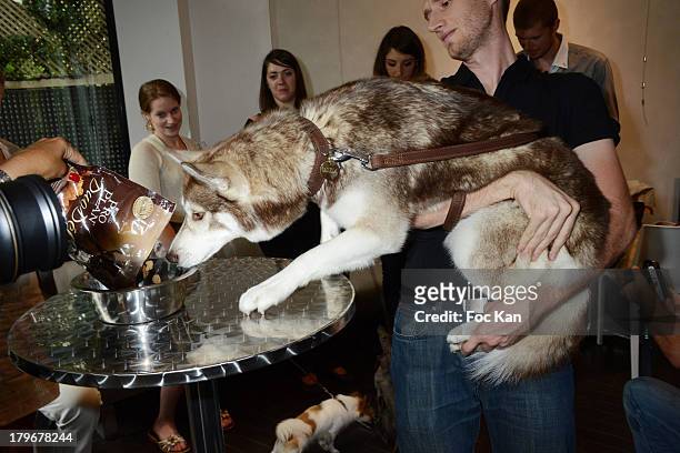 General view of atmosphere during the Duo Delice Dog Food Launch Party at 6 Mandel on September 6, 2013 in Paris, France.