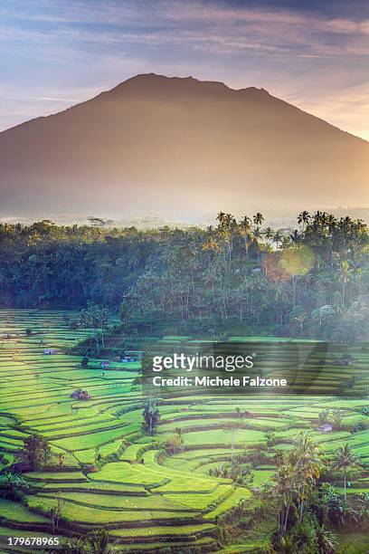 indonesia, bali, rice fields and volcanoes - agung volcano in indonesia stock pictures, royalty-free photos & images