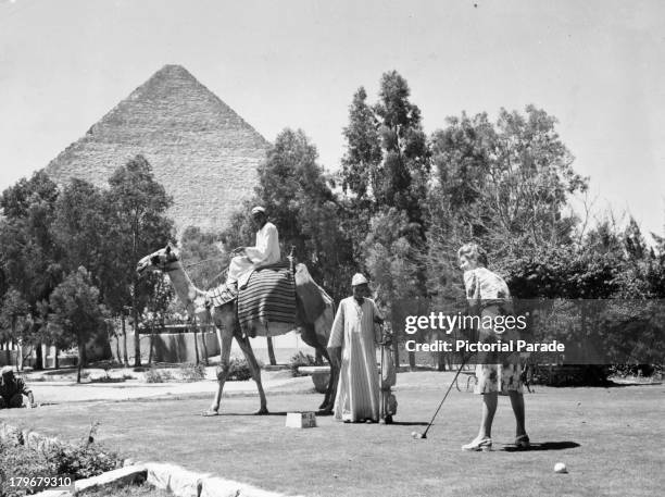 Visitor plays 9 holes of golf with Egyptian caddies with camels as the Great Pyramid of Cheops loom in the background in Cairo Egypt.