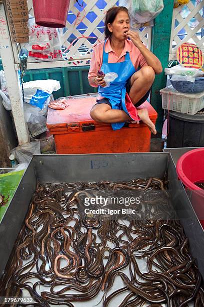Khlong Toey is a fresh meat market, the largest one in Bangkok. A small, hidden village deep within the Bangkok concrete jungle, this extensive...