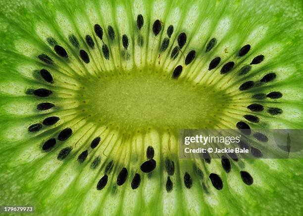 a slice of kiwi fruit - detalle de primer plano fotografías e imágenes de stock