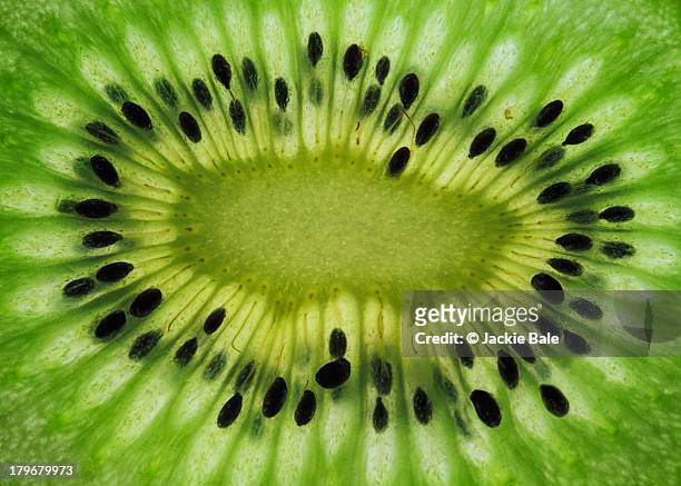 a slice of kiwi fruit - fresh fruit stockfoto's en -beelden