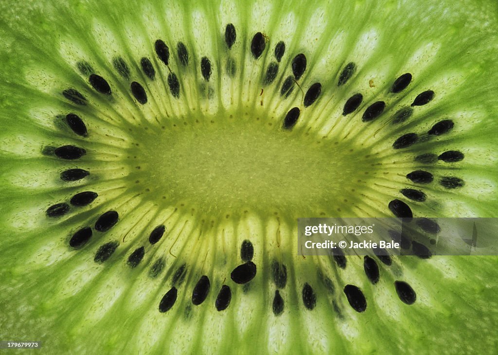 A slice of Kiwi fruit