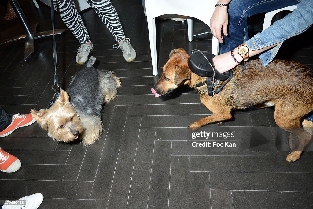 'Duo Delice' Dog Food Launch Party In Paris