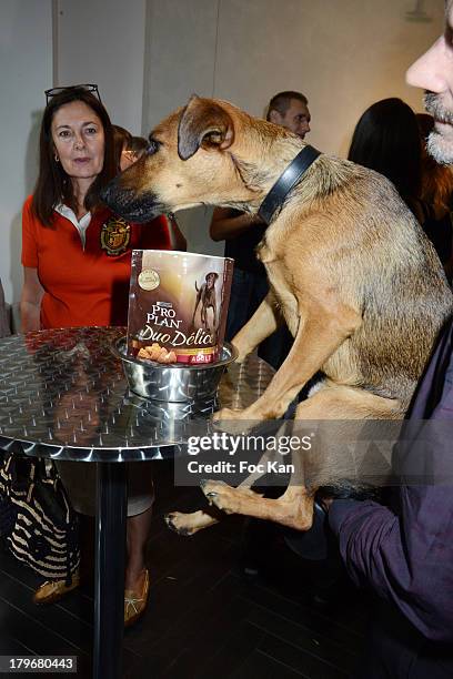 General view of atmosphere during the Duo Delice Dog Food Launch Party at 6 Mandel on September 6, 2013 in Paris, France.