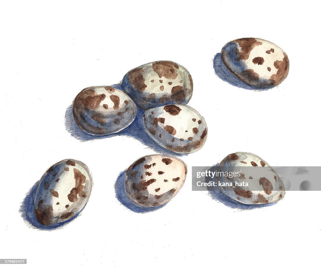 Quail eggs