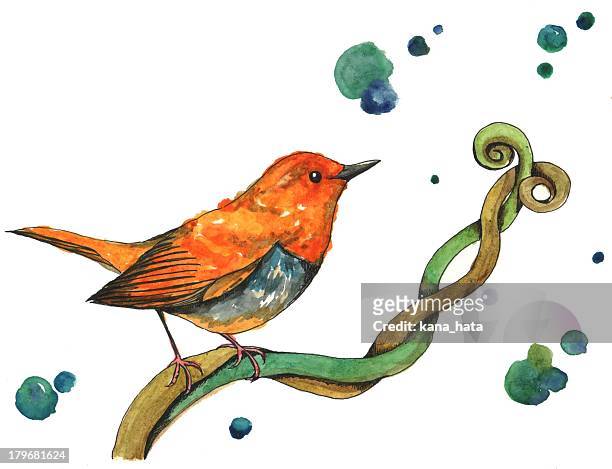 ilustraciones, imágenes clip art, dibujos animados e iconos de stock de orange bird - linda rama