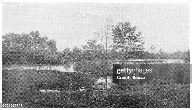 antique image of hampden county, massachusetts: springfield, five mile pond - 5 mile stock illustrations