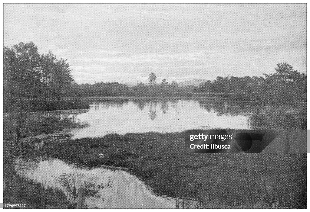 Antique image of Hampden County, Massachusetts: Springfield, Five Mile Pond