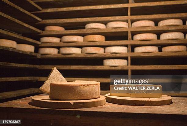 fresh cheese wheels on table in cabin - wiel kaas stockfoto's en -beelden