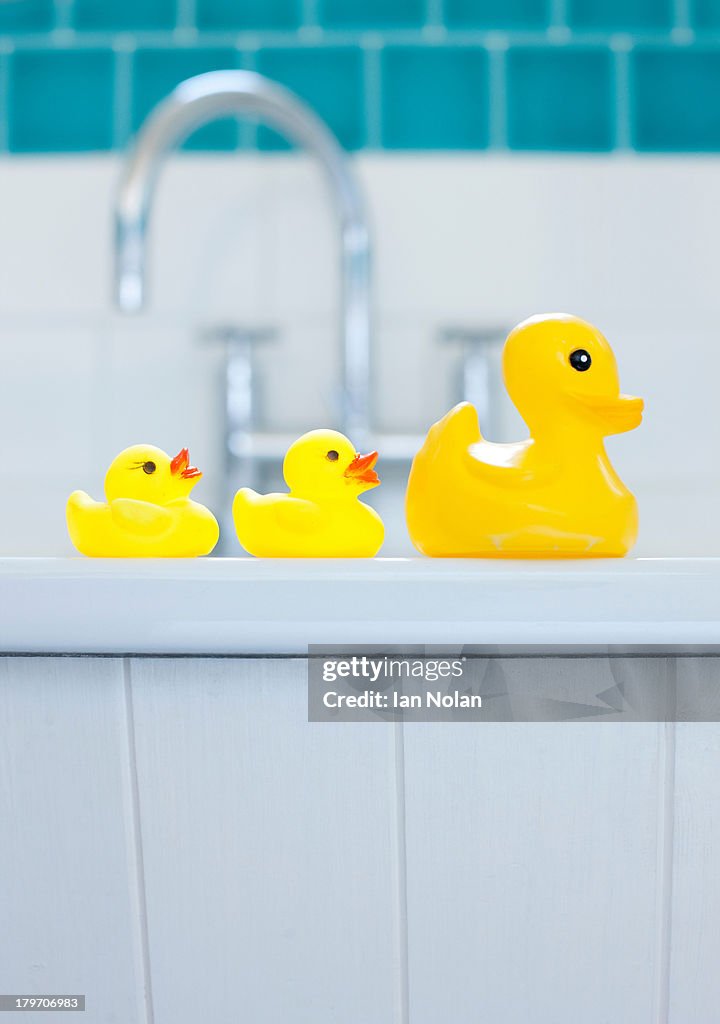 Row of three yellow rubber ducks for bathtime