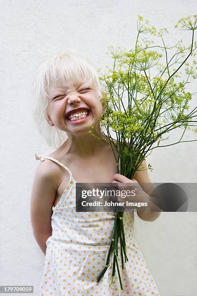 girl holding fennel bouquet - dill stock pictures, royalty-free photos & images