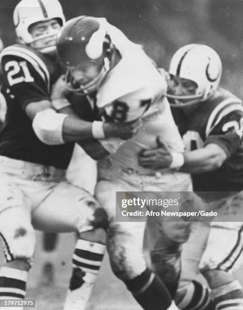 Minnesota Vikings offensive end John Beasley runs into Baltimore defenders Rick Volk and Jerry Logan, during the Colts' 21-9 National Football League...