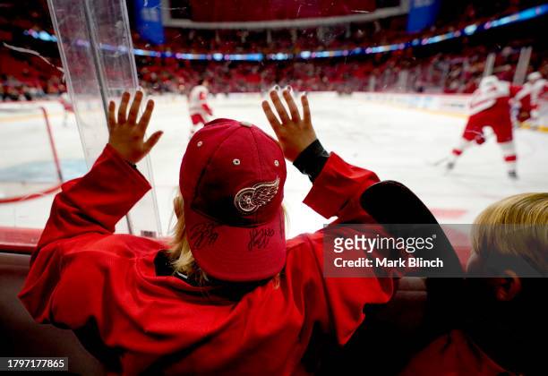 Detroit Red Wings fan looks on during warm-up before the 2023 NHL Global Series in Sweden between the Detroit Red Wings and the Ottawa Senators at...