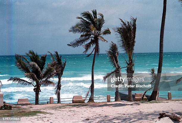 Reise, Varadero/Kuba/Karibik, Strand, Palmen, Meer,