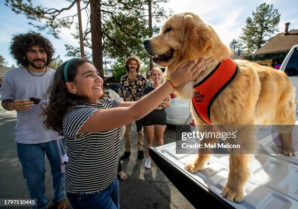 Naillah Benjell of Los Angeles greets Maximus Mighty-Dog Mueller III, otherwise known as Mayor Max III, the mayor of Idyllwild, a 9 month old...