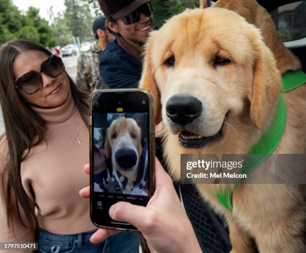 Maximus Mighty-Dog Mueller III, better known as Mayor Max III, the mayor of Idyllwild, poses for a photo during a public appearance in downtown...