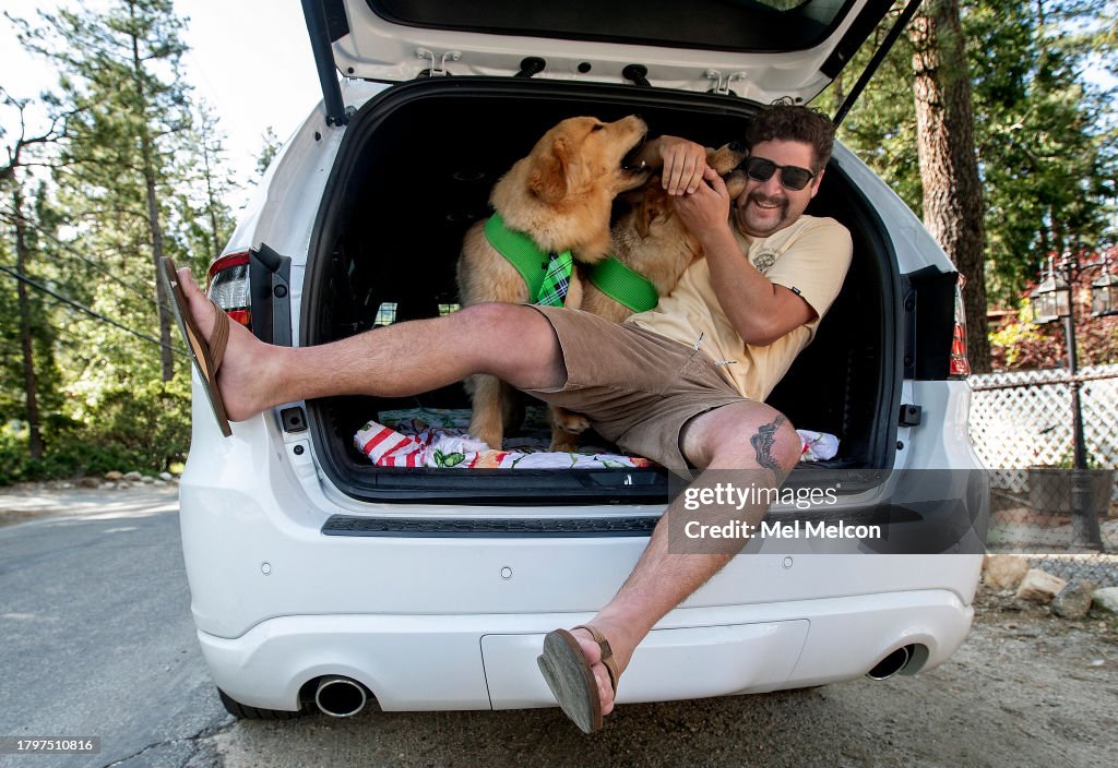 The mayor of Idyllwild is a dog