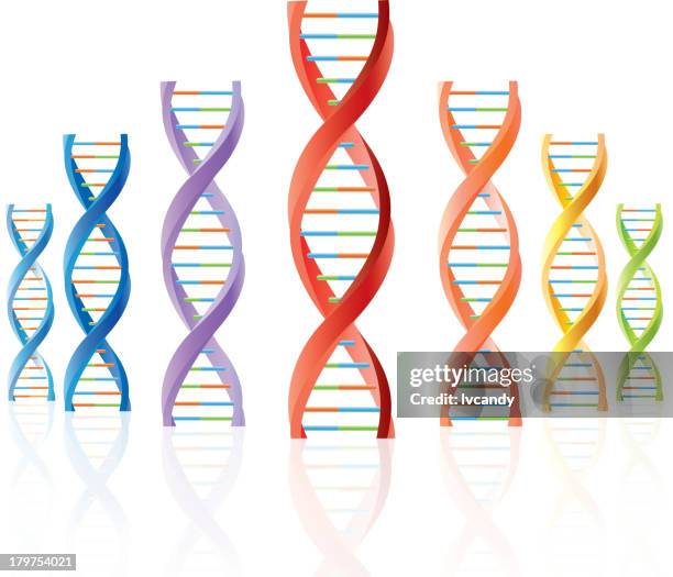 dna - dna spiral stock illustrations