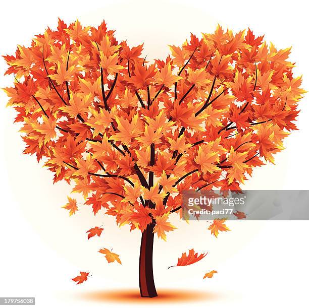 tree autumn heart - maple leaf heart stock illustrations