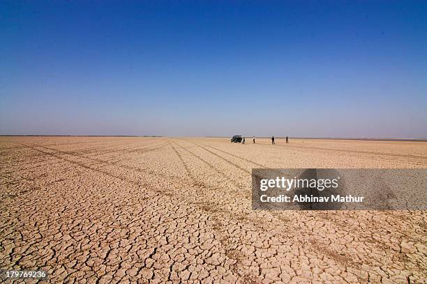 jeep and people in expanse of cracked barren land - 地割れ ストックフォトと画像