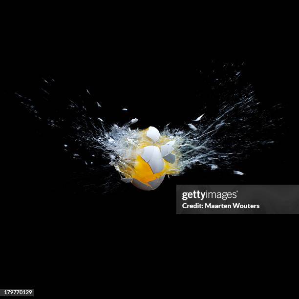 exploding egg 02 - spring stockfoto's en -beelden