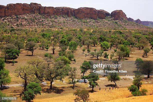 dogon village under the bandiagara cliffs, mali - dogon bezirk stock-fotos und bilder