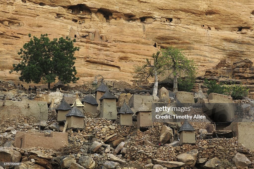 Dogon village under the Bandiagara Cliffs, Mali