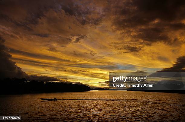 rio negro river & amazon forest at sunset - river amazon stock-fotos und bilder