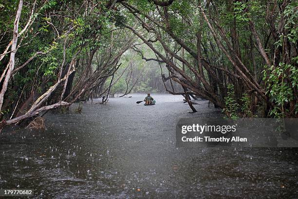 amazonian woman rows rio negro river in rain - rio amazonas stock pictures, royalty-free photos & images