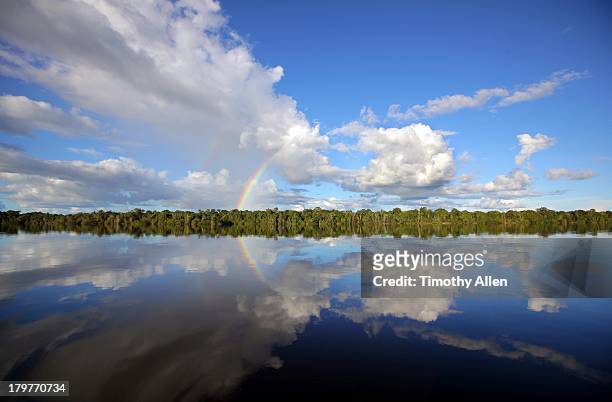 rio negro & reflections of an amazonian rainbow - manaus stock pictures, royalty-free photos & images